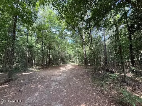 401 SW Montgomery Rd, Summit, MS 39666 photo 18