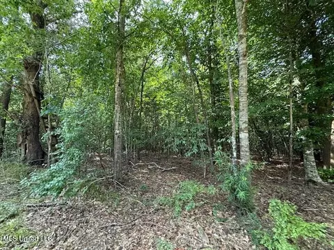 401 SW Montgomery Rd, Summit, MS 39666 photo 12