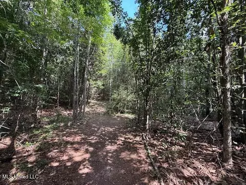 401 SW Montgomery Rd, Summit, MS 39666 photo 19