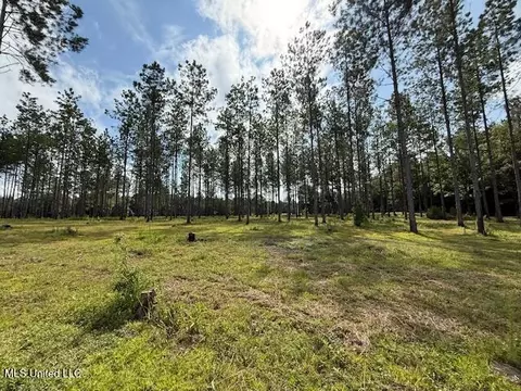 401 SW Montgomery Rd, Summit, MS 39666 photo 11
