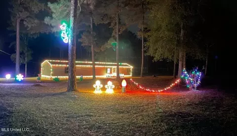 401 SW Montgomery Rd, Summit, MS 39666 photo 3
