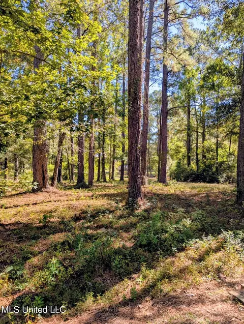 Norrell Drive, Petal, MS 39465 photo 2