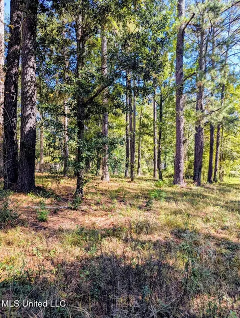 Norrell Drive, Petal, MS 39465 photo 3