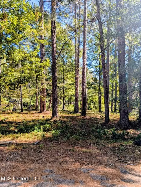 Norrell Drive, Petal, MS 39465