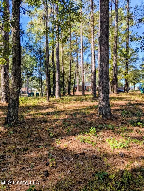 Norrell Drive, Petal, MS 39465 photo 4