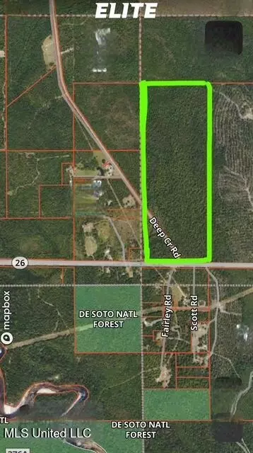 Tbn Deep Creek Road, Wiggins, MS 39577