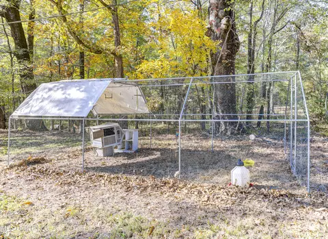 Exterior - 704 Brenmar St, Brandon, MS 39042 photo 11 of 11