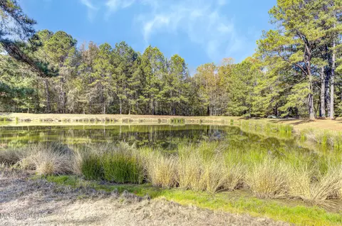 View/Area - 704 Brenmar St, Brandon, MS 39042 photo 1 of 2