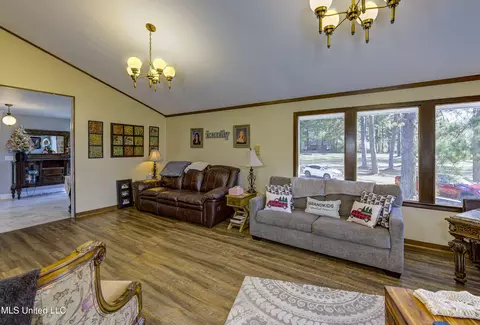 Living - 704 Brenmar St, Brandon, MS 39042 photo 2 of 3