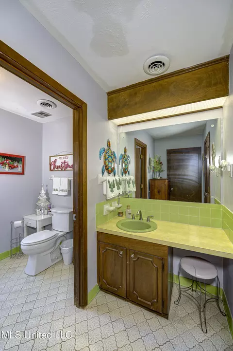 Bath - 704 Brenmar St, Brandon, MS 39042 photo 2 of 7
