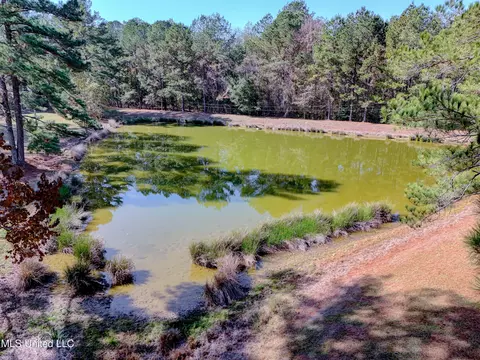 View/Area - 704 Brenmar St, Brandon, MS 39042 photo 2 of 2