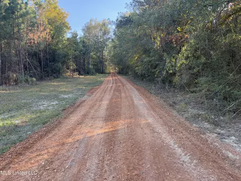 1016 L A Brister Rd, Summit, MS 39666 photo 18