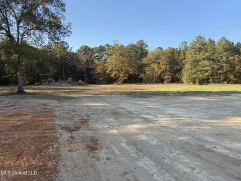 1016 L A Brister Rd, Summit, MS 39666 photo 19
