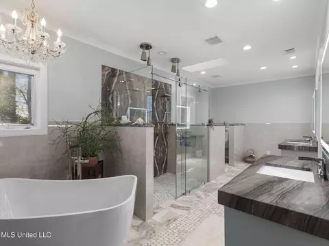 Bath - 108 Cove Ln, Madison, MS 39110 photo 1 of 8