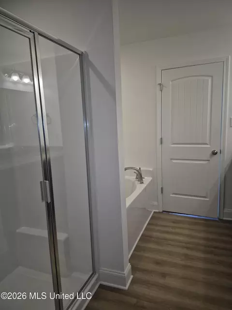 Bath - 7720 Ferndale Dr, Olive Branch, MS 38654 photo 2 of 2