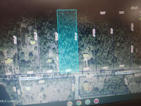 Nhn E Crazy Horse Drive, Kiln, MS 39556
