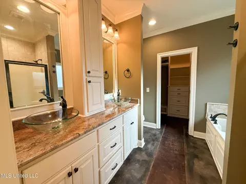 Bath - 961 Willow Grande Cir, Brandon, MS 39047 photo 2 of 5