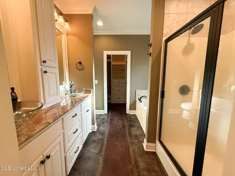 Bath - 961 Willow Grande Cir, Brandon, MS 39047 photo 4 of 5