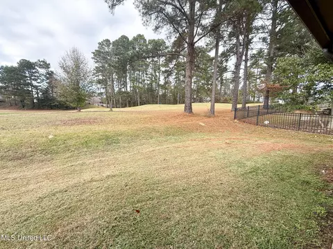 Other - 961 Willow Grande Cir, Brandon, MS 39047 photo 8 of 9