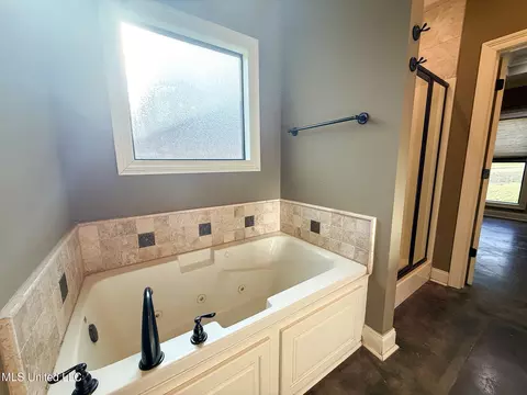 Bath - 961 Willow Grande Cir, Brandon, MS 39047 photo 1 of 5