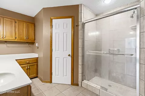 Bath - 4441 Big Horn Dr, Nesbit, MS 38651 photo 2 of 3