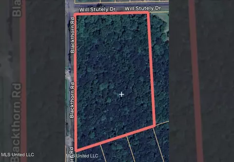 0 Will Stutely Dr, Brandon, MS 39042