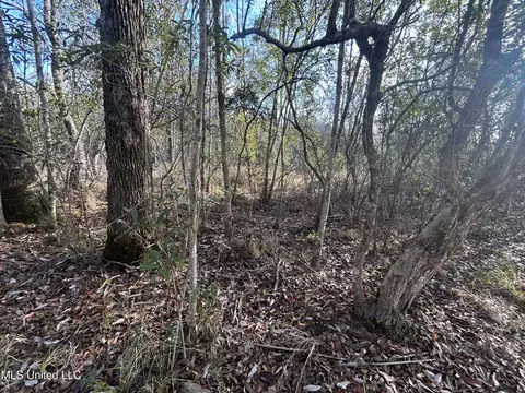 0 Will Lee Rd, Lumberton, MS 39455 photo 18