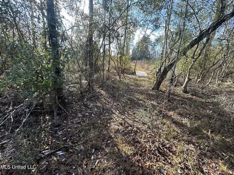 0 Will Lee Rd, Lumberton, MS 39455 photo 14