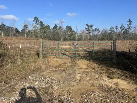 0 Will Lee Rd, Lumberton, MS 39455 photo 6