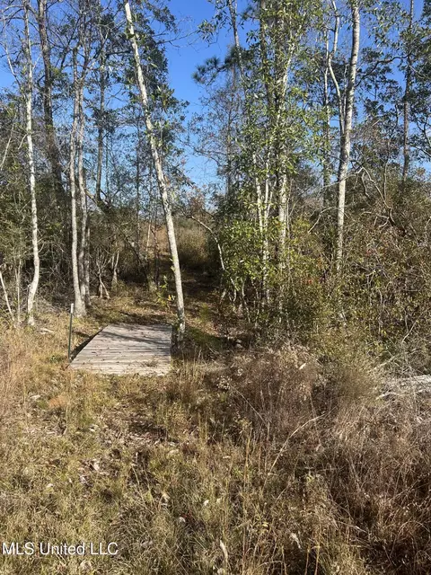 0 Will Lee Rd, Lumberton, MS 39455 photo 12
