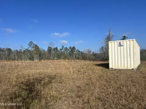 0 Will Lee Rd, Lumberton, MS 39455 photo 9