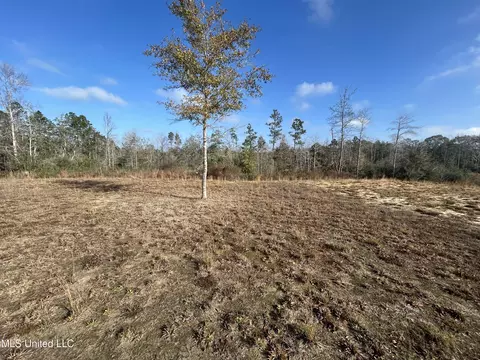 0 Will Lee Rd, Lumberton, MS 39455 photo 5
