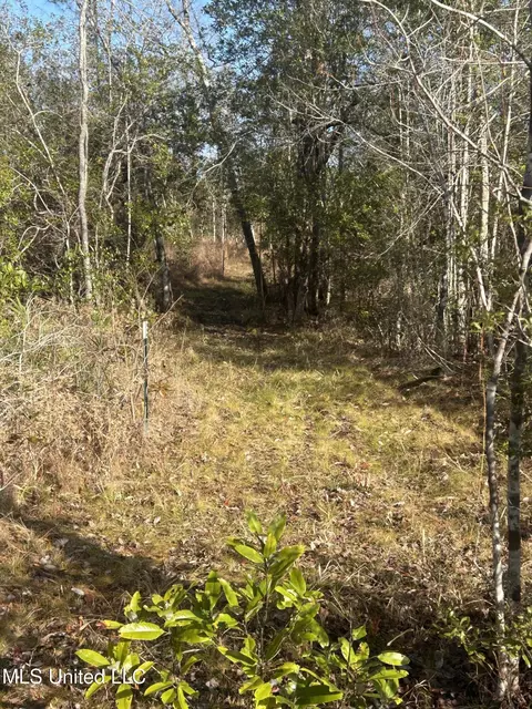 0 Will Lee Rd, Lumberton, MS 39455 photo 16