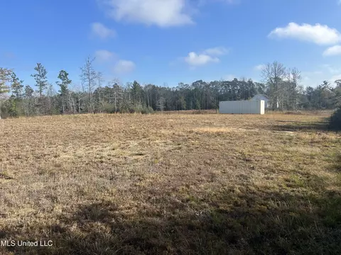 0 Will Lee Rd, Lumberton, MS 39455 photo 10