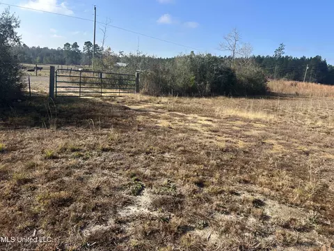 0 Will Lee Rd, Lumberton, MS 39455 photo 7