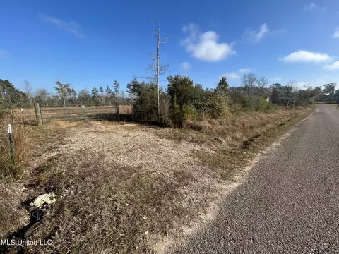 0 Will Lee Rd, Lumberton, MS 39455 photo 22