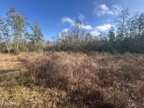 0 Will Lee Rd, Lumberton, MS 39455 photo 19