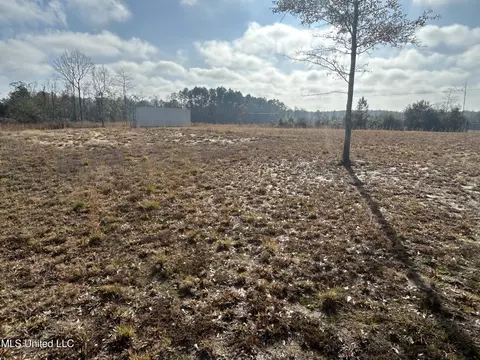 0 Will Lee Rd, Lumberton, MS 39455 photo 11