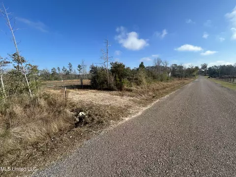 0 Will Lee Rd, Lumberton, MS 39455 photo 21