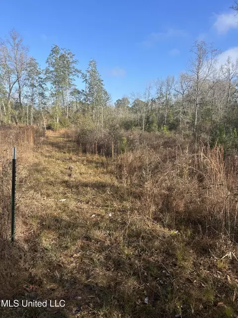 0 Will Lee Rd, Lumberton, MS 39455 photo 20