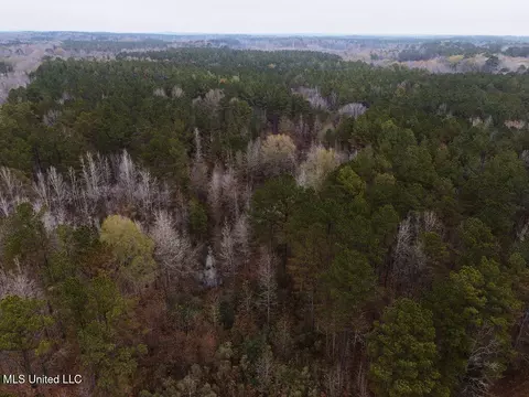 Bright Road, Ackerman, MS 39735 photo 6