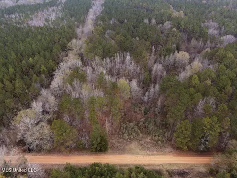Bright Road, Ackerman, MS 39735 photo 5