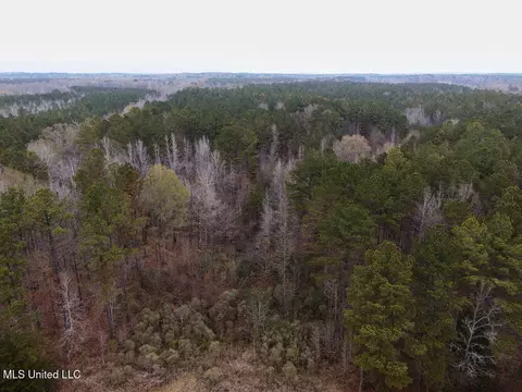 Bright Road, Ackerman, MS 39735 photo 8
