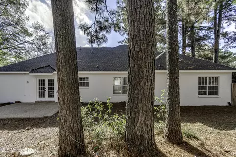 Exterior - 1116 Ellington Ct, Brandon, MS 39042 photo 8 of 11