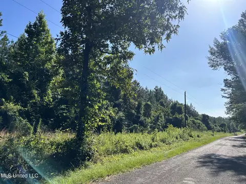 SE Mccullough Road, Bogue Chitto, MS 39629
