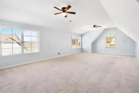 Other - 4809 Bakersfield Dr, Nesbit, MS 38651 photo 5 of 6