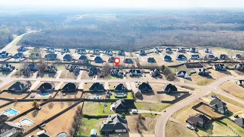 View/Area - 4809 Bakersfield Dr, Nesbit, MS 38651 photo 4 of 4