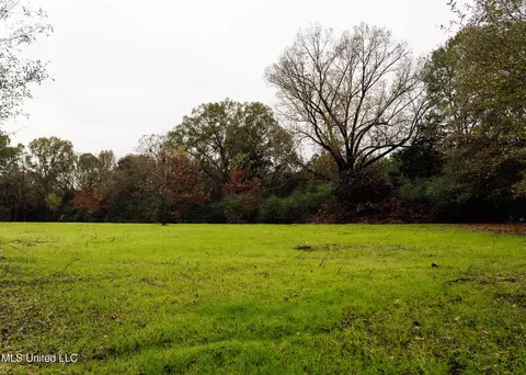 745 Black Jack Rd, Benton, MS 39039 photo 16