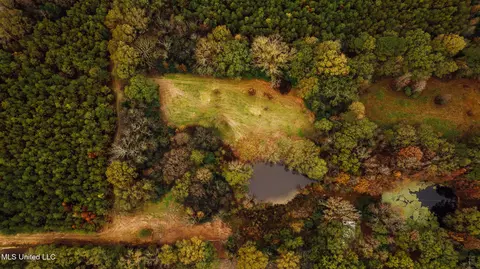 745 Black Jack Rd, Benton, MS 39039 photo 5