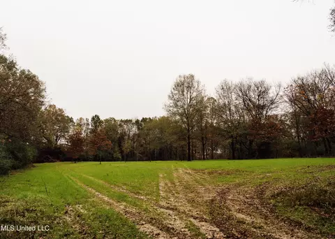 745 Black Jack Rd, Benton, MS 39039 photo 34